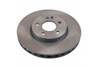 Brake Disc 106605 FEBI