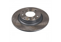 Brake Disc 108379 FEBI