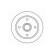 Brake Disc 15513 ABS, Thumbnail 2