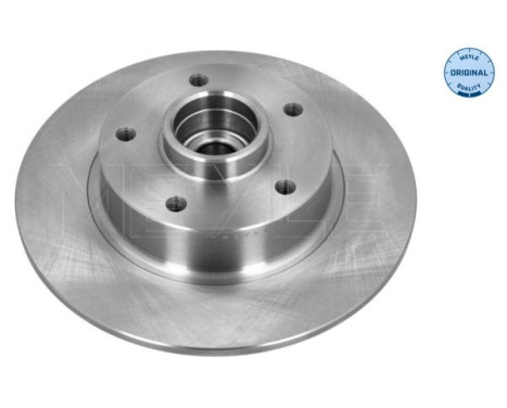 Brake disc 16-15 523 4125 Meyle