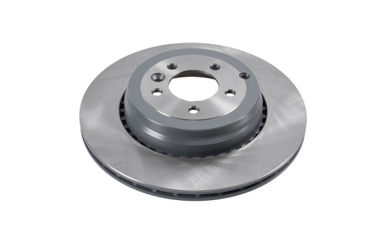 Brake Disc 170106 FEBI