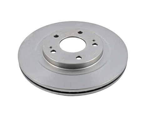 Brake Disc 170601 FEBI