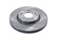 Brake Disc 170696 FEBI