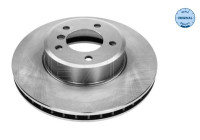Brake disc 315 521 3060 Meyle