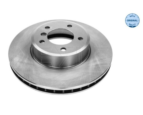 Brake disc 315 521 3060 Meyle