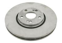 brake disc 60924310 Swag