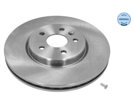 Brake disc 615 521 0032 Meyle