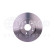 Brake Disc 8DD 355 116-101 Hella Pagid GmbH, Thumbnail 2