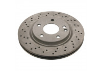 Brake Disc ADU174399 Blue Print