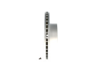 Brake Disc BD896 Bosch