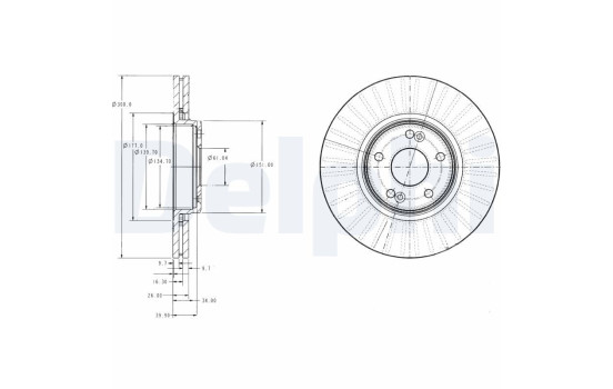 Brake Disc BG3688 Delphi