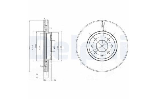 Brake Disc BG3989 Delphi