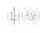 Brake Disc BG4113 Delphi