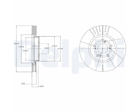 Brake disc BG4215 Delphi