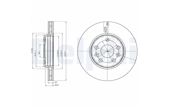 Brake Disc BG4317C Delphi