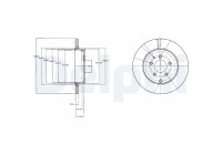 Brake Disc BG4341 Delphi