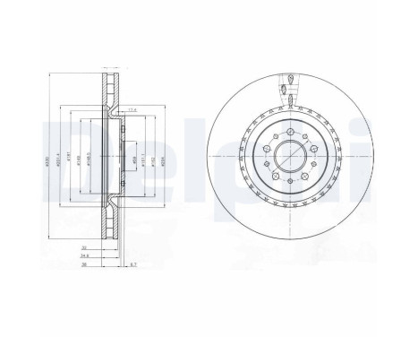 Brake Disc BG9843 Delphi