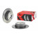 Brake Disc BREMBO XTRA LINE 08.9787.1X, Thumbnail 3