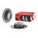 Brake Disc BREMBO XTRA LINE 08.A205.1X, Thumbnail 3