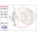 Brake Disc BREMBO XTRA LINE 08.C425.1X, Thumbnail 2