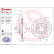 Brake Disc BREMBO XTRA LINE 09.7196.1X, Thumbnail 2