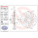 Brake Disc BREMBO XTRA LINE 09.7880.1X, Thumbnail 3