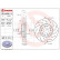 Brake Disc BREMBO XTRA LINE 09.8402.1X, Thumbnail 2