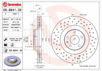 Brake Disc BREMBO XTRA LINE 09.8841.3X