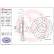 Brake Disc BREMBO XTRA LINE 09.9077.1X, Thumbnail 3