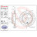 Brake Disc BREMBO XTRA LINE 09.A198.1X, Thumbnail 2