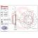 Brake Disc BREMBO XTRA LINE 09.A259.1X, Thumbnail 2