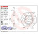 Brake Disc BREMBO XTRA LINE 09.A532.2X