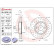 Brake Disc BREMBO XTRA LINE 09.A532.2X, Thumbnail 2