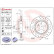 Brake Disc BREMBO XTRA LINE 09.A760.1X, Thumbnail 3