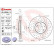 Brake Disc BREMBO XTRA LINE 09.B269.1X, Thumbnail 2