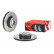 Brake Disc BREMBO XTRA LINE 09.B570.1X