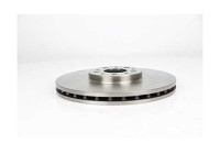 Brake disc BSG 25-210-005