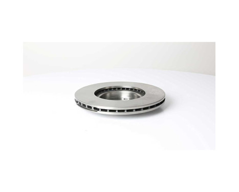 Brake disc BSG 25-210-006