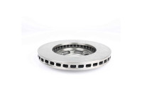 Brake disc BSG 40-210-036