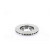 Brake disc BSG 62-210-014