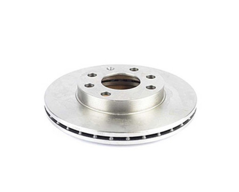 Brake disc BSG 65-210-014