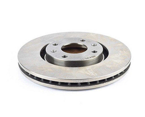 Brake disc BSG 70-210-018