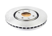 Brake disc BSG 70-210-020