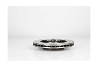 Brake disc BSG 75-210-001