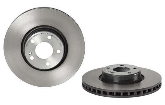 Brake Disc CO-CAST DISCS LINE 09.D527.13 Brembo