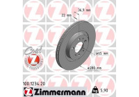 Brake Disc COAT Z 100.1234.20 Zimmermann