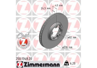Brake Disc COAT Z 250.1348.20 Zimmermann
