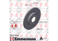 Brake disc COAT Z 250.5718.20 Zimmermann