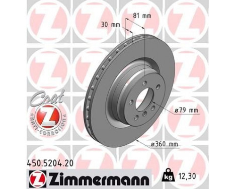 Brake Disc COAT Z 450.5204.20 Zimmermann