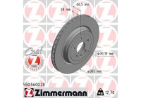 Brake Disc COAT Z 550.5600.20 Zimmermann